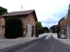 Codorniu 1551 vineyard in Spain